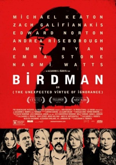 Birdman (2015)