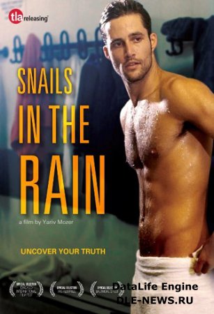 Snails in the Rain (2013)