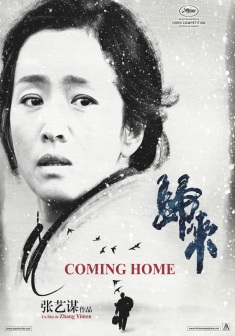 Ritorno a casa (2014)