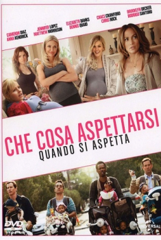 Che cosa aspettarsi quando si aspetta (2012)