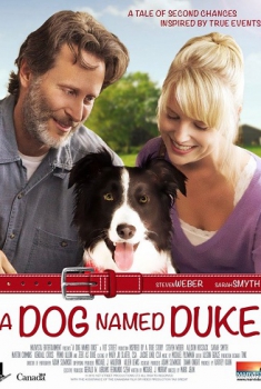 Un amico di nome Duke (2012)