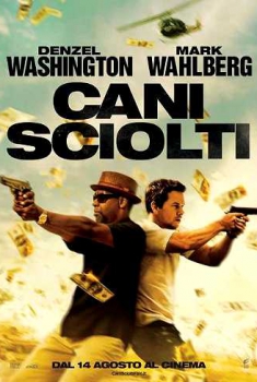 Cani sciolti (2013)