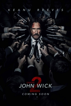 John Wick 2 (2017)