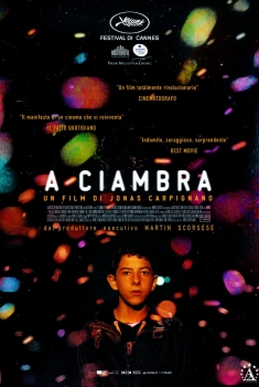 A Ciambra (2017)