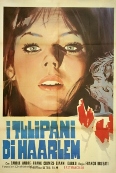 I tulipani di Haarlem (1970)