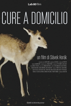 Cure a domicilio (2015)