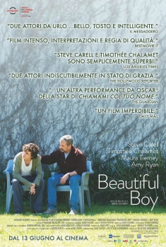 Beautiful Boy (2018)