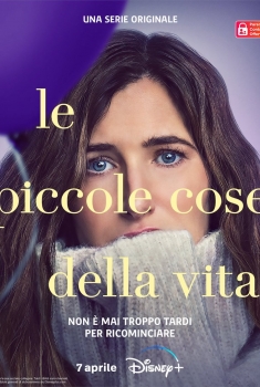 Le piccole cose della vita (Serie TV)